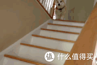 “下沉式”院子爆火，比传统院子更实用！