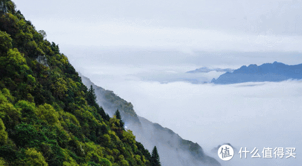 这对夫妻跑到山上居住，建造440㎡山林别墅，无边泳池惊艳了我